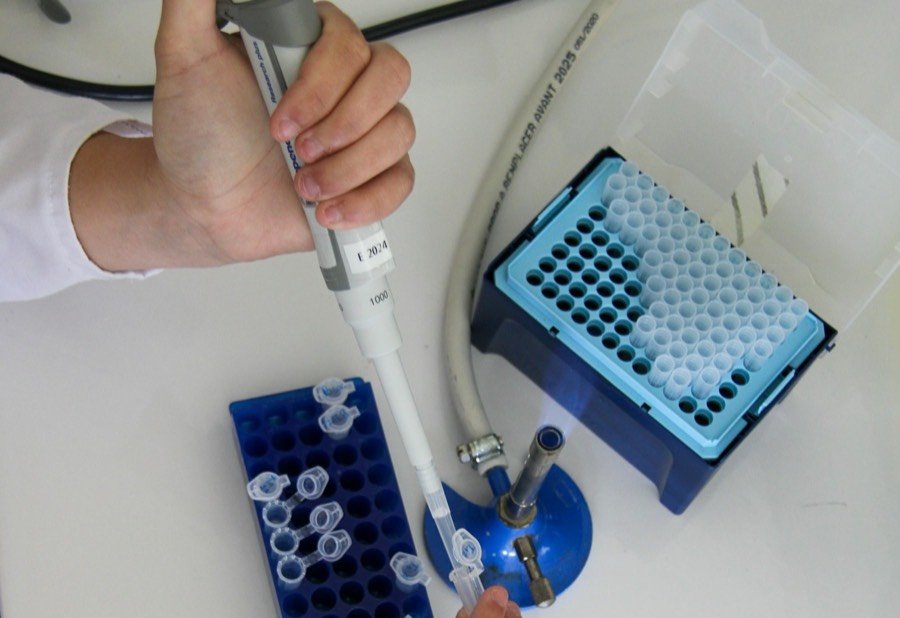 Laboratory work with a micropipette and sample tubes